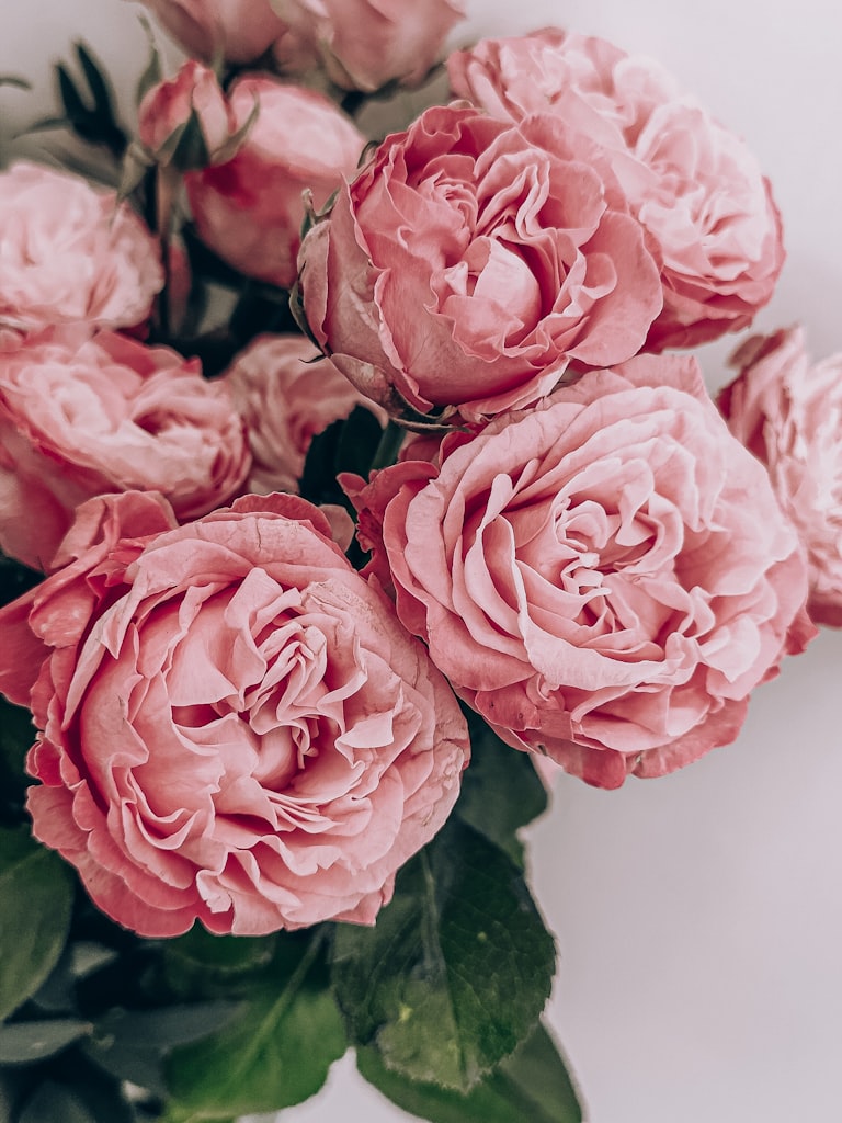 Fleur de Nuit